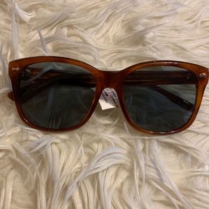 GUCCI brown sunglasses